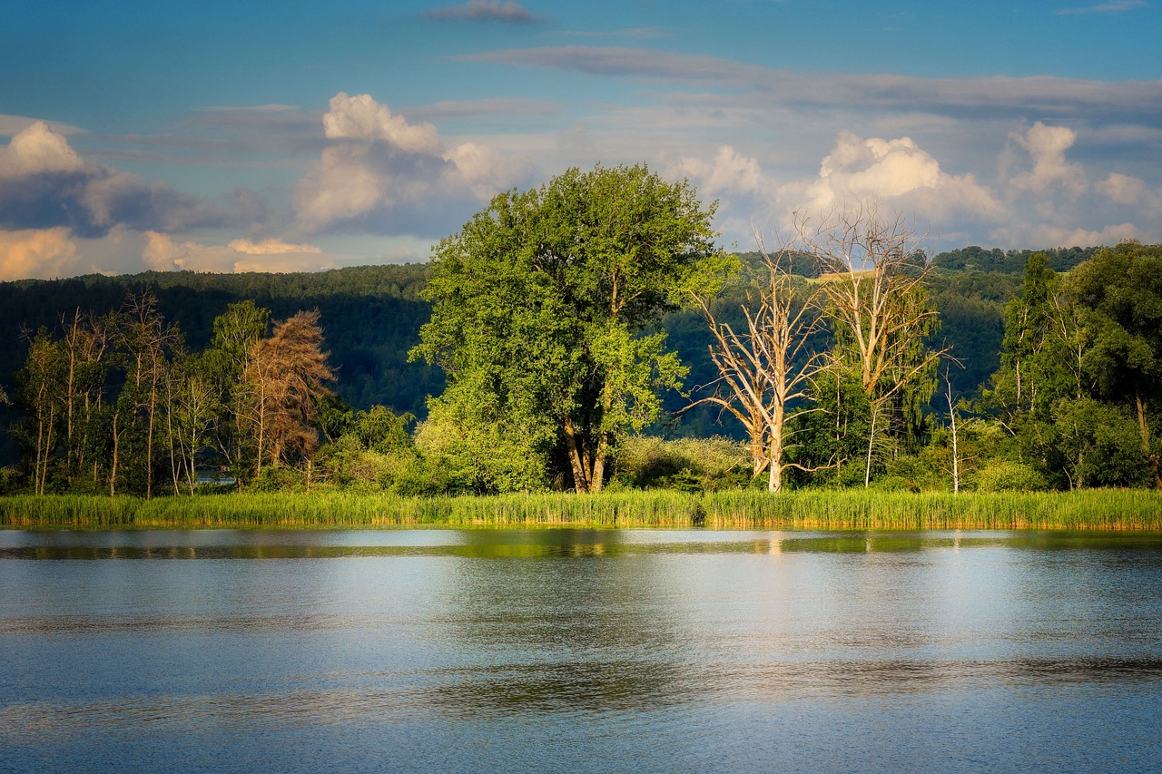 Conserving Habitats, Conserving Species: Focusing on Ecosystems